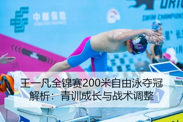 wang-yi-fan-quan-jin-sai-mi-zi-you-yong-duo-guan-jie-xi-qing-xun-cheng-zhang-yu-zhan-shu-tiao-zheng-1-169.jpg
